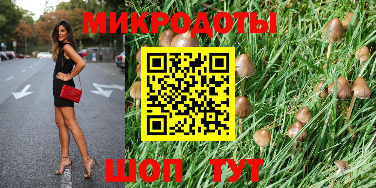 Псилоцибиновые грибы Psilocybine cubensis Шарыпово