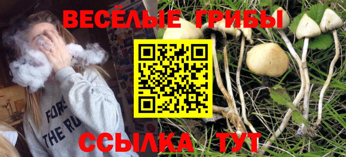 Псилоцибиновые грибы Cubensis  Вход с VPN  Шарыпово  Псилоцибиновые грибы GOLDEN TEACHER 